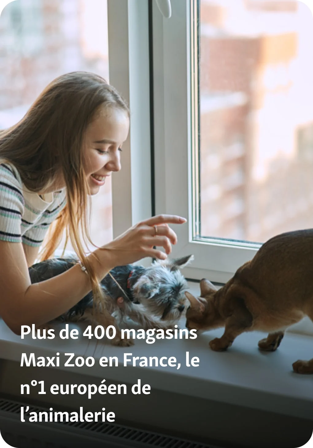 fille-chien-chat-atouts-maxizoo-assurance