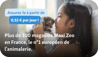 img-mobile-atouts-chaton