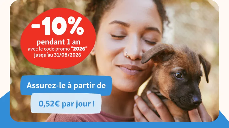 img-mobile-header-promo-chiot