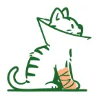 Les frais vétérinaires pour chatons