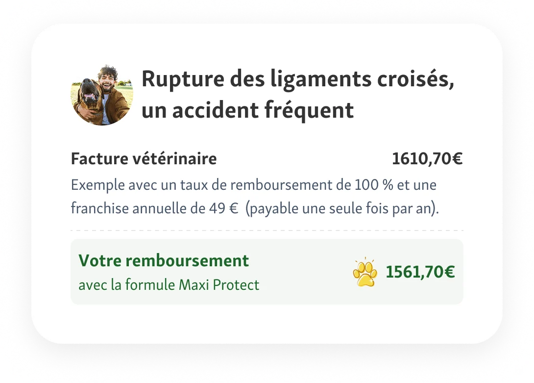 Rupture des ligaments croisés