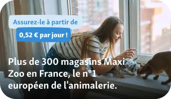 fille-chien-chat-assurance-maxizoo