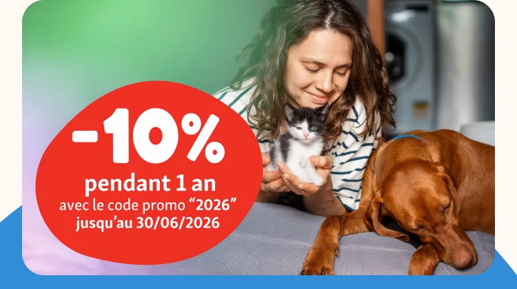img-offre-mobile