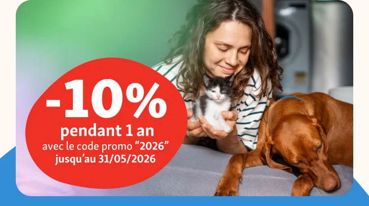 img-offre-mobile