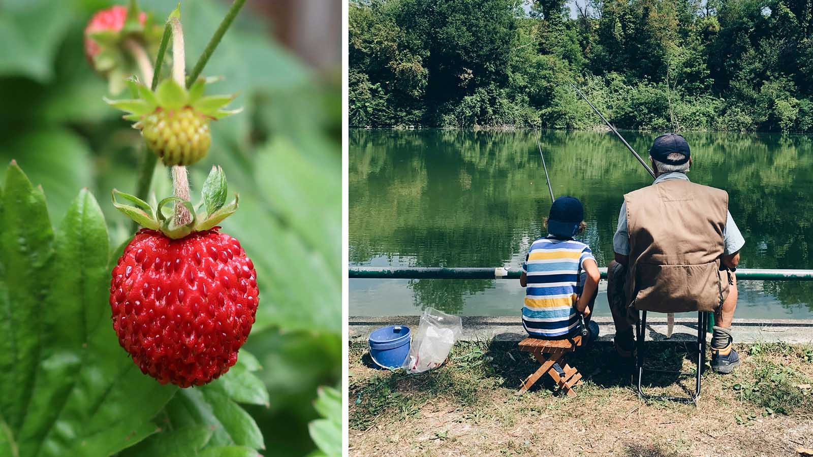 sommar smultron spara smart i sommar Lendobloggen