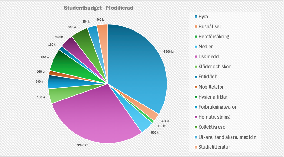 Modifierad studentbudget