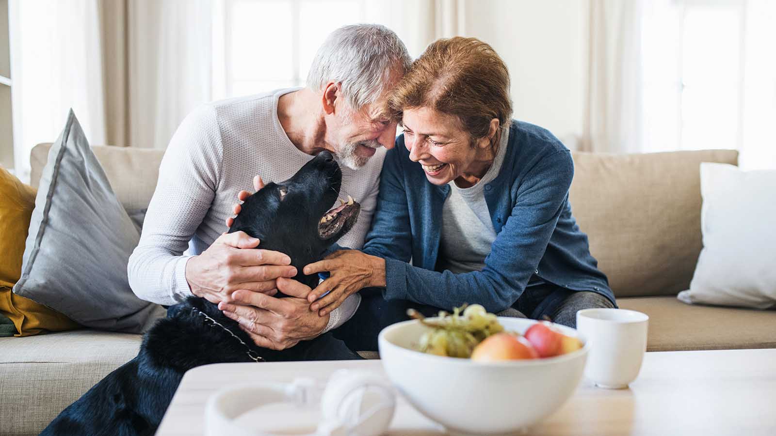 pensionstips äldre par med hund Lendobloggen