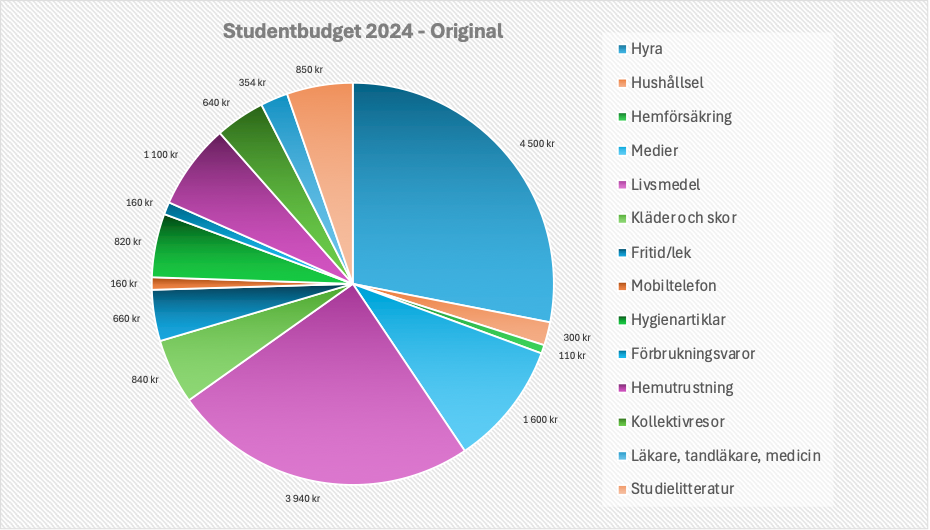 Studentbudget går inte ihop