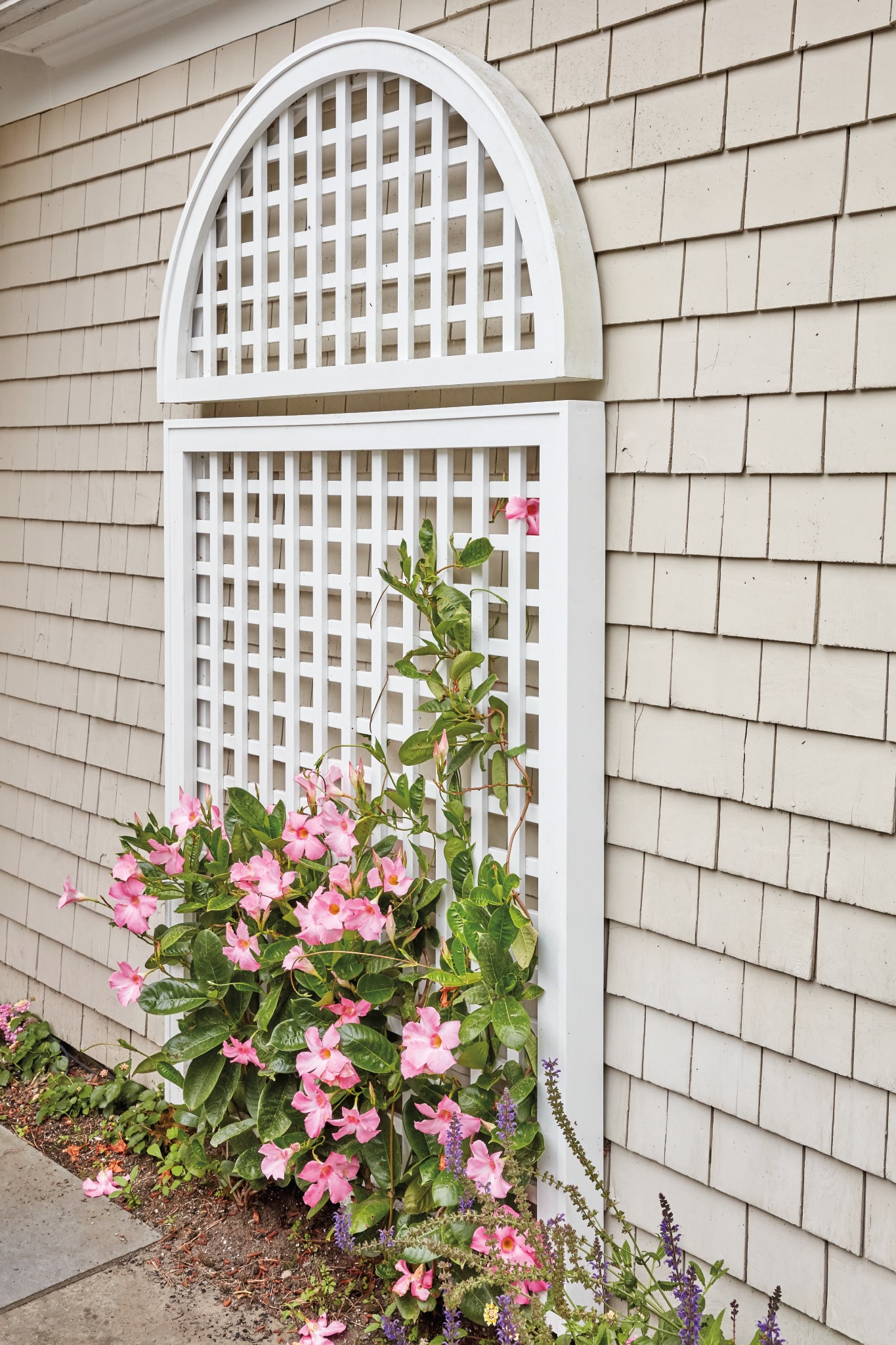 Home Depot Lattice Panels - 6ha47pa