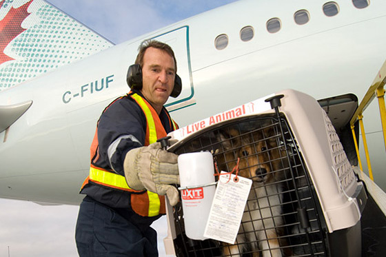 enroute.aircanada.com