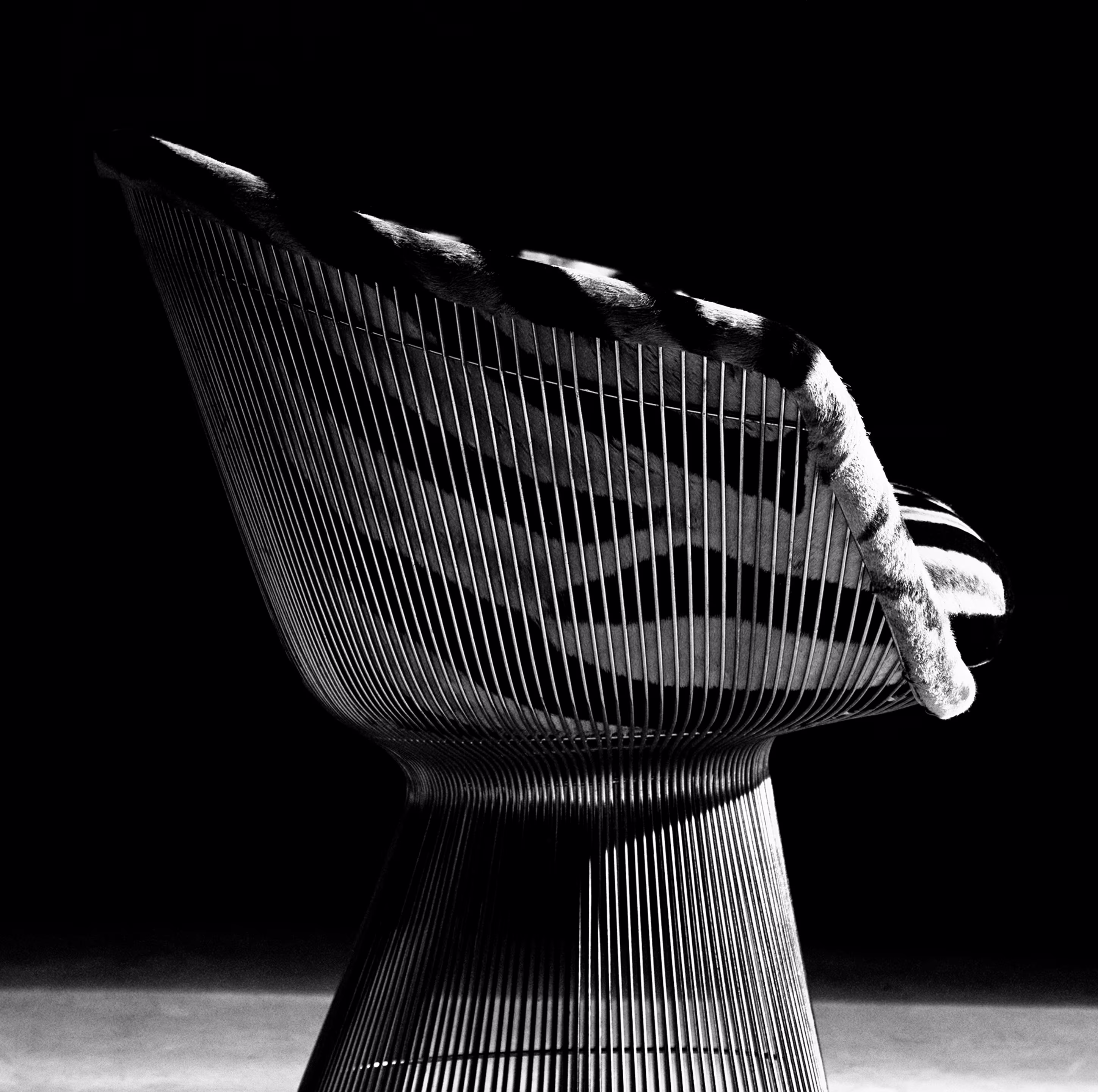 Knoll – Platner