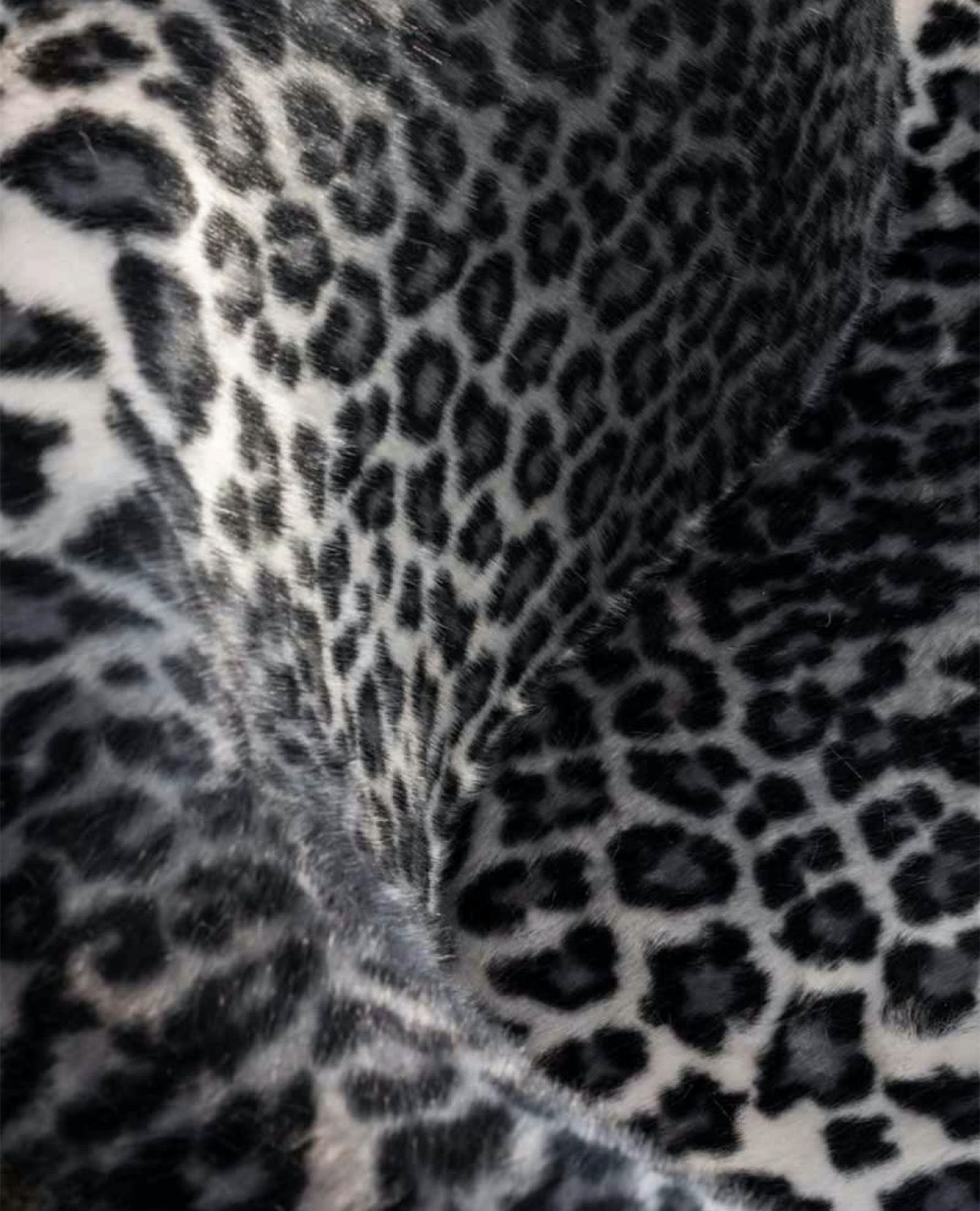 Editorial Splash 1 - Återlanseringen av en leopardmönstrad ikon