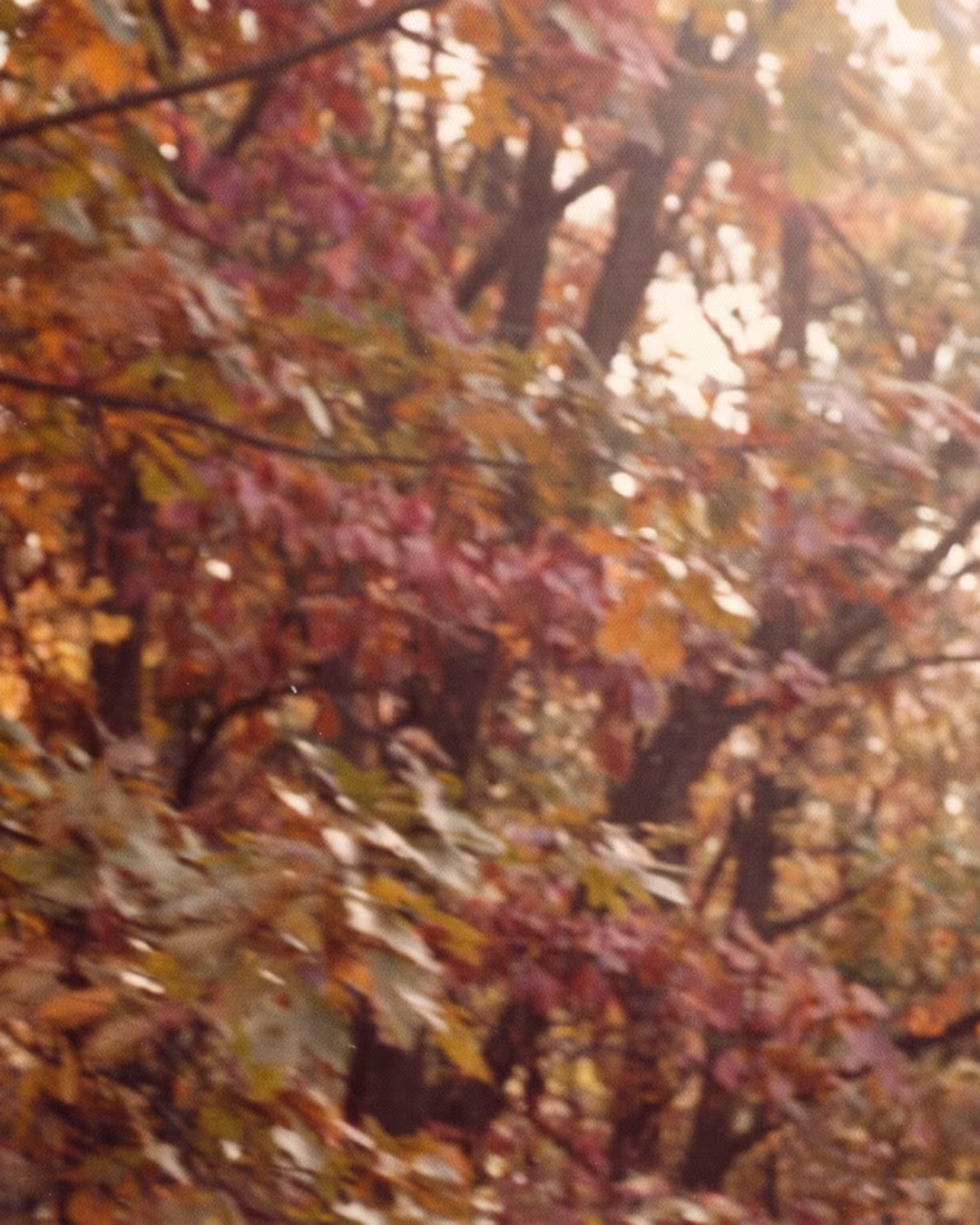 NOGA OctoberOffer NoText 4x5 6