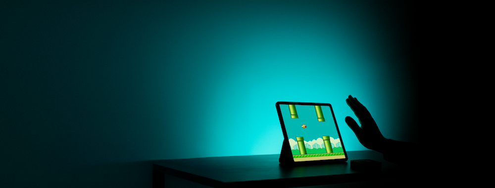 Flappy Bird with Tachyon application notes