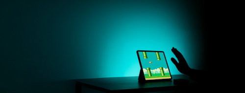 Flappy Bird with Tachyon application notes