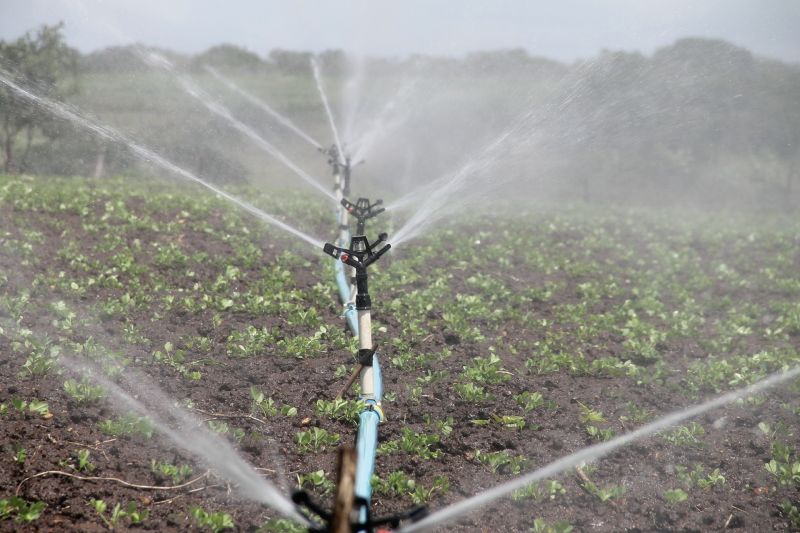 Smart irrigation 