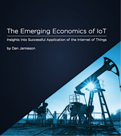 The Emerging Economics of IoT