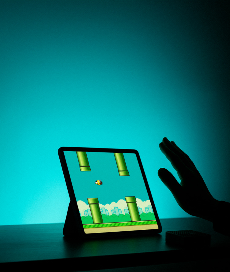 Flappy Bird with Tachyon application notes