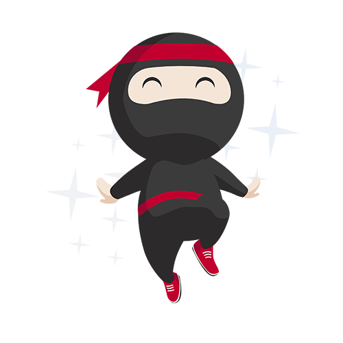 ninja van career
