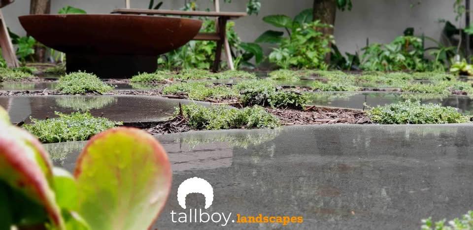 Beautiful landscaping