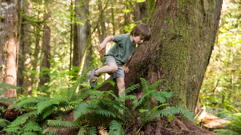 age-4-5-forest-school