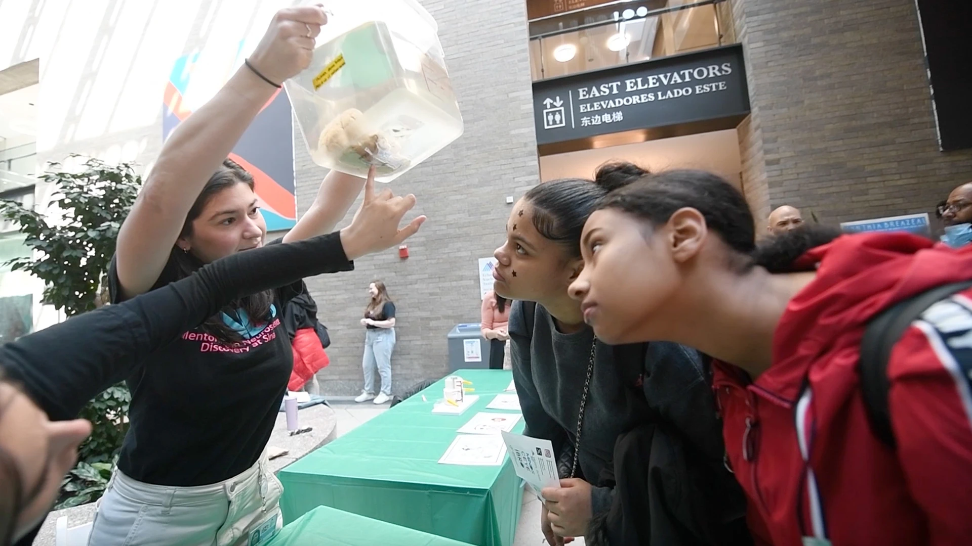 Students were able to compare and learn about a variety of different brain specimens at the Brain Fair.