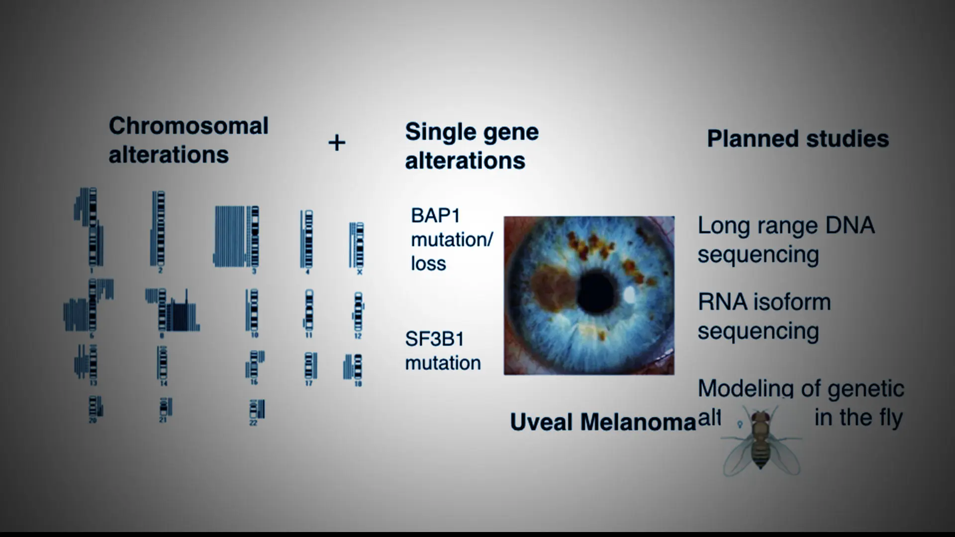 Improving Survival from Uveal Melanoma