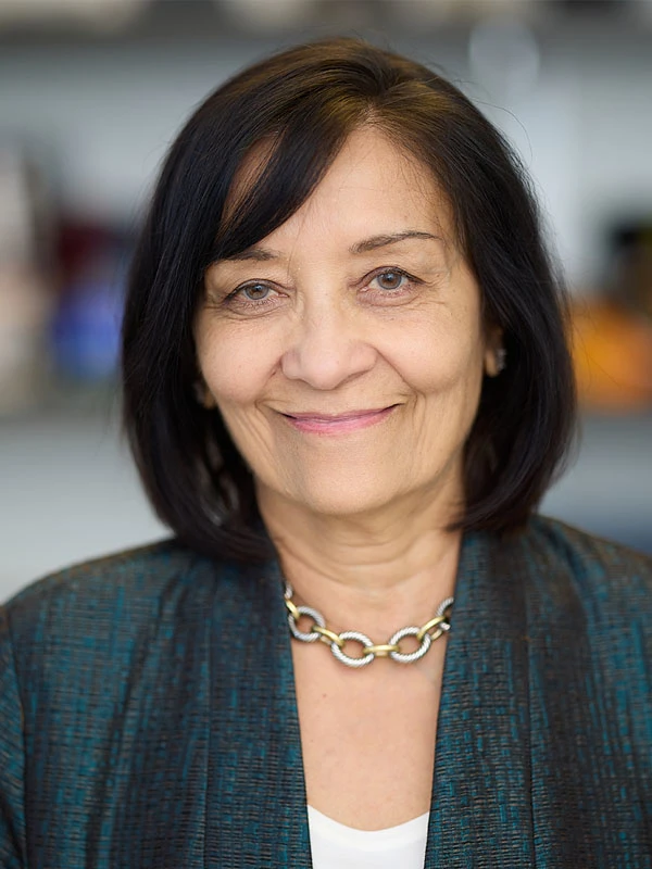 Nina Bhardwaj, MD, PhD
