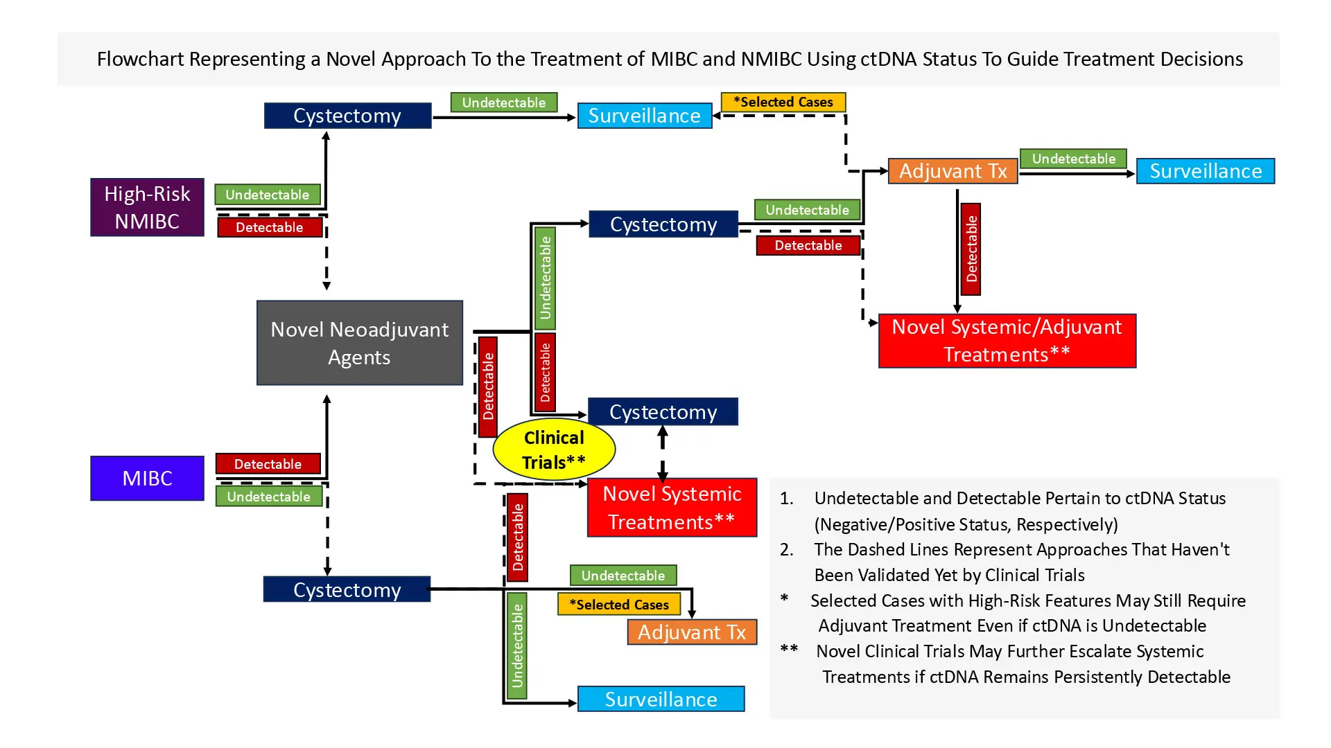 Circulating Tumor DNA Test Holds Promise for Improved Decision-Making in Managing Patients With Muscle-Invasive Bladder Cancer