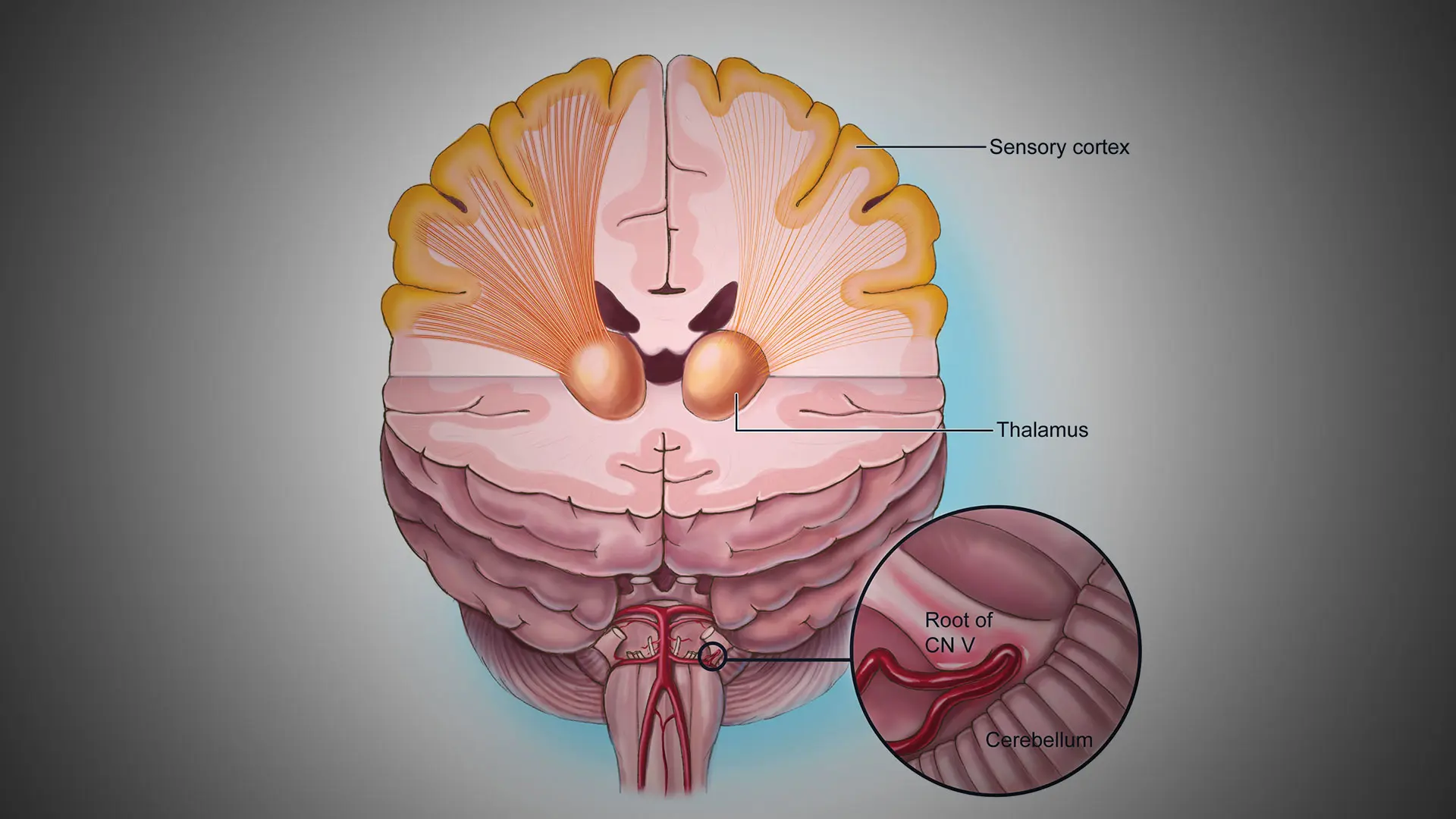 A Window into the Human Brain: How Our Latest Neuroimaging Modalities Help to Detect Psychiatric Conditions