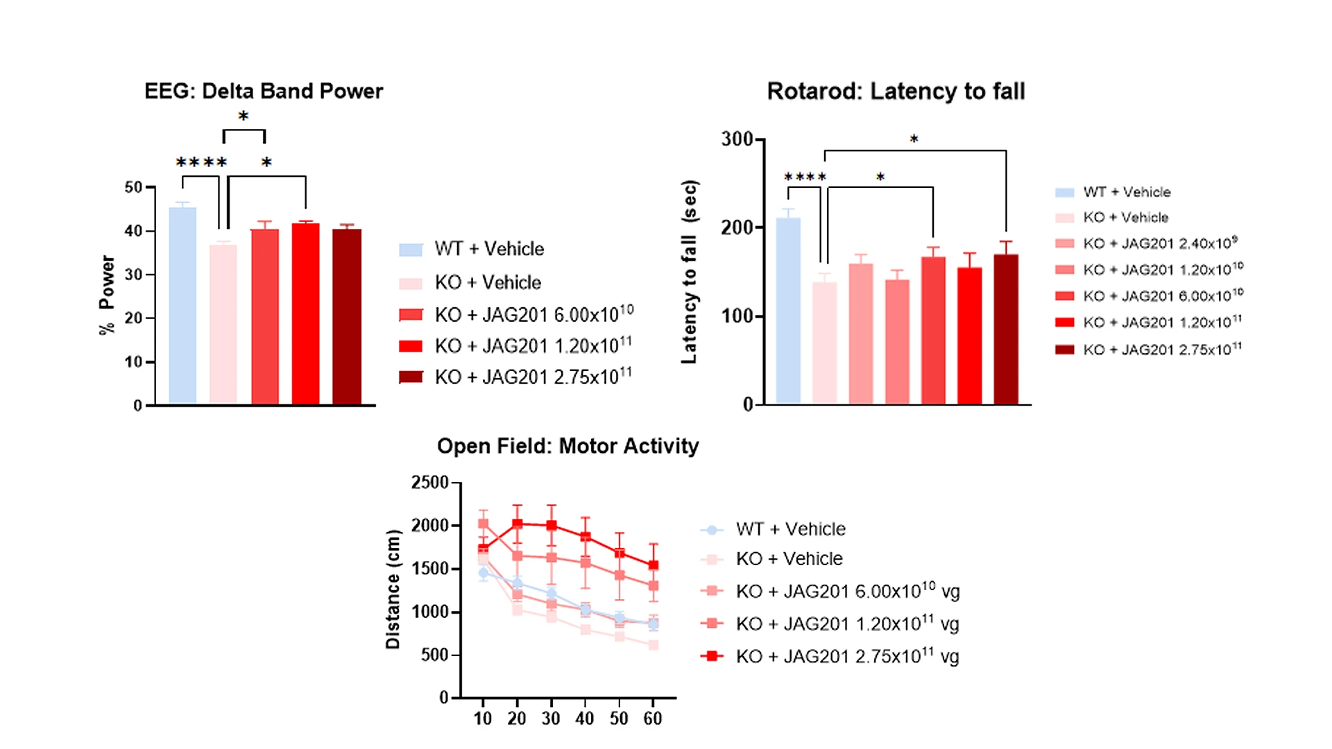 In mouse models of SHANK3 haploinsufficiency, mice treated with JAG201 saw increased gene expression, as well as improvements in sleep, motor function, and cognitive and behavioral outcomes.
