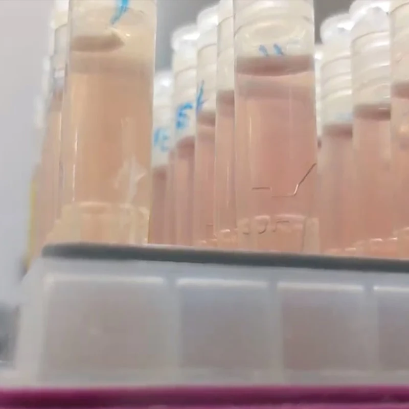One-milliliter cryovials containing cardiac muscle cells and micro-tissues, after their return from the International Space Station.