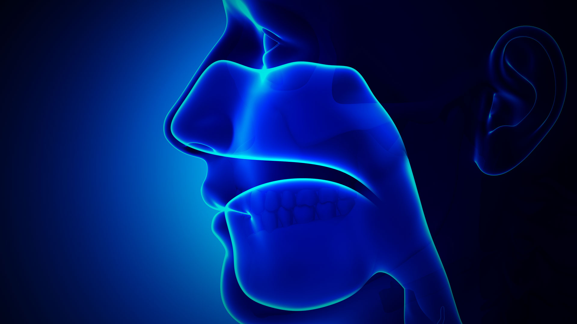 Otolaryngology - Head And Neck Surgery