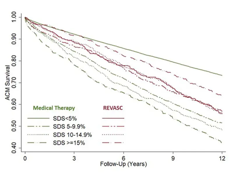 Survival according to the magnitude of inducible ischemia and early revascularization status.

