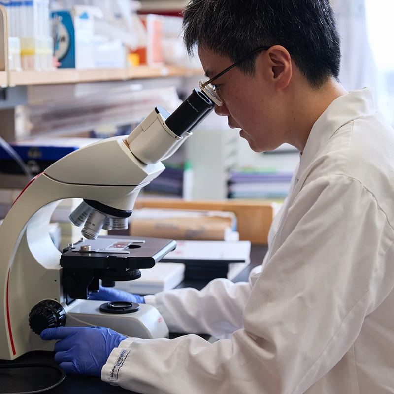 Dr. Wang is trying to understand the different strategies that liver cells use to regenerate after disease.