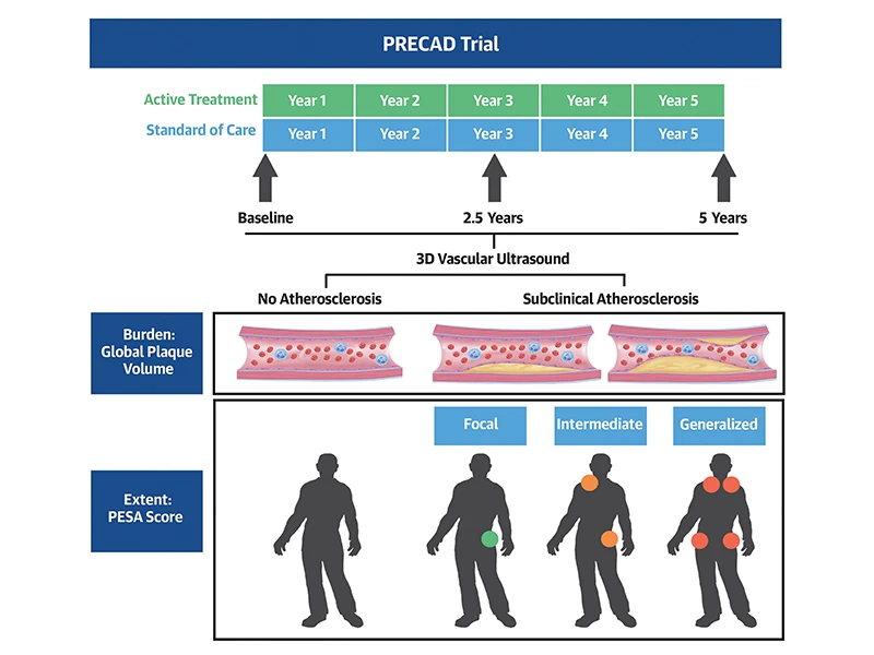 In the PRECAD trial, adults 30 to 50 years of age will be randomized to standard of care or to active treatment arm to aggressively control cardiovascular risk factors. Atherosclerotic burden and extent will be assessed by 3-dimensional (3D) vascular ultrasound of the right and left carotid and femoral arteries at baseline, and at 2.5-year and at 5-year follow-up. Atherosclerosis extent will be defined according to the presence of plaque and categorized according to the PESA (Progression of Early Subclinical Atherosclerosis) score on a 4-point scale. The primary endpoint  is the change in atherosclerosis burden between baseline and 5 years. 