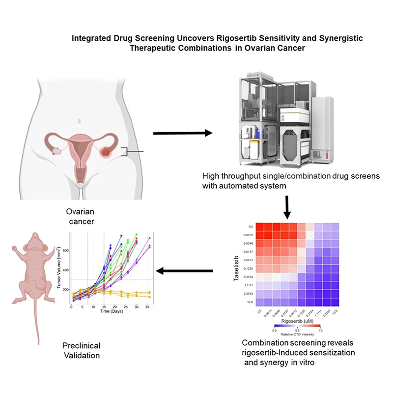 A graphical abstract of the publication.