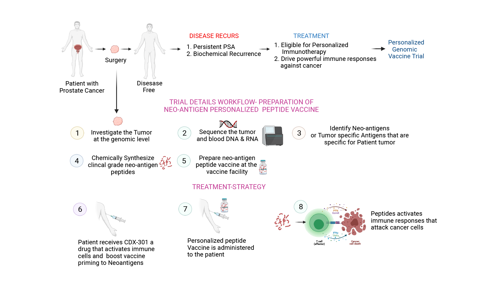 A phase 1, open-label, single-center, proof-of-concept study will assess the safety and tolerability of administering a PGV001-based multi-peptide vaccine—a fully personalized therapeutic vaccine directed toward mutation-derived tumor antigens—in combination with CDX-301, a potent hematopoietic cytokine. 