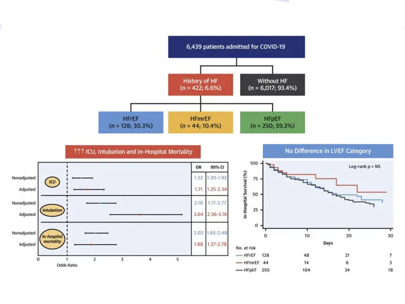 Graphical abstract of the study. Top panel: Consort diagram of the study population. Bottom right panel: Kaplan-Meier survival curves in patients hospitalized with COVID-19, according to left ventricle ejection fraction. Bottom left panel: The effect of history of heart failure on outcomes in patients admitted for COVID-19.  
