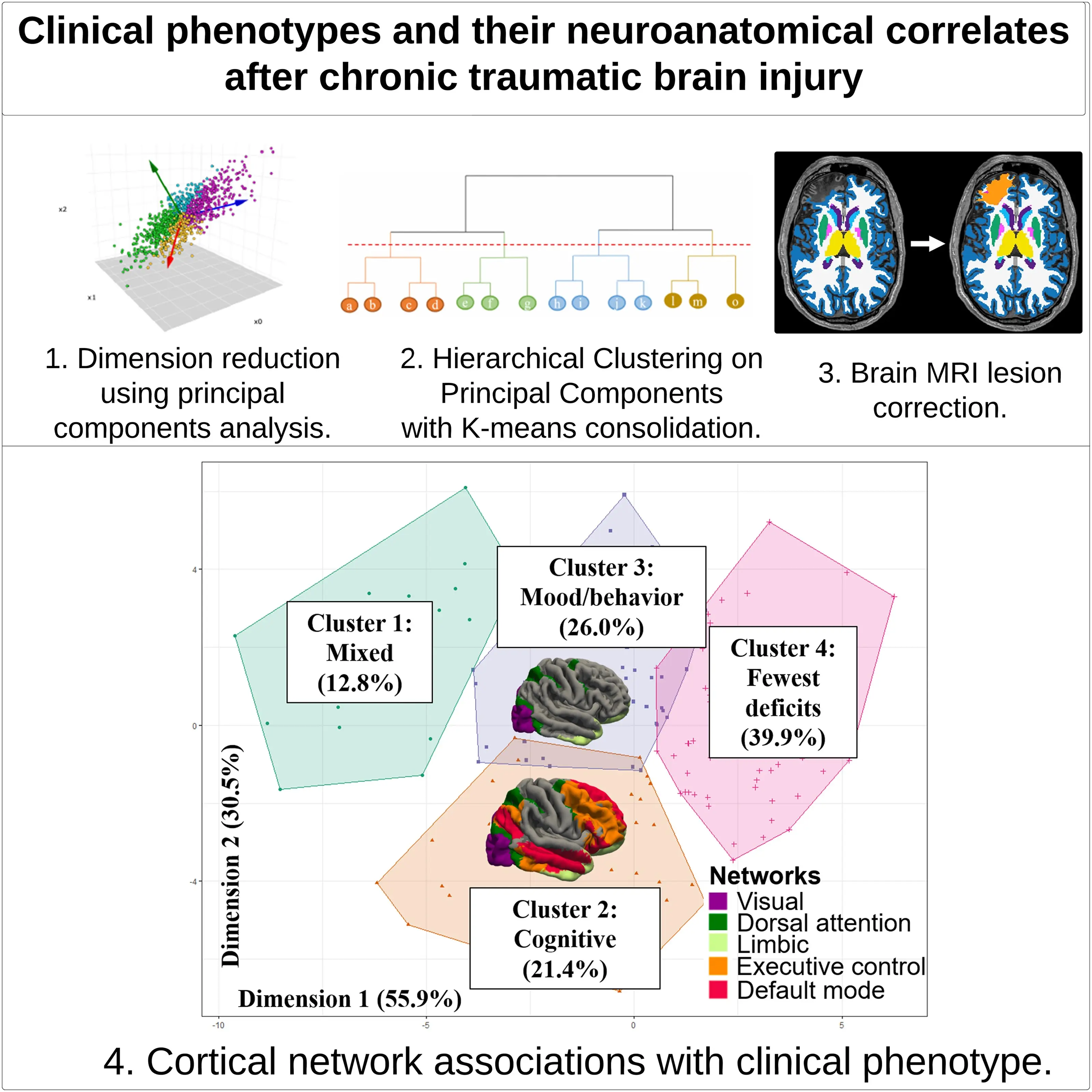 The team used hierarchical clustering on principal components with k-means consolidation to identify clusters, or phenotypes, with shared clinical features, and conducted a secondary objective of investigating differences in brain volume in seven cortical networks across clinical phenotypes in the participants with brain MRI data. The team observed four phenotypes: mixed cognitive and mood/behavioral deficits, predominant cognitive deficits, predominant mood/behavioral deficits, and few deficits across domains—a subgroup of individuals whose cognitive and mood/behavioral symptoms were much lower on average. 