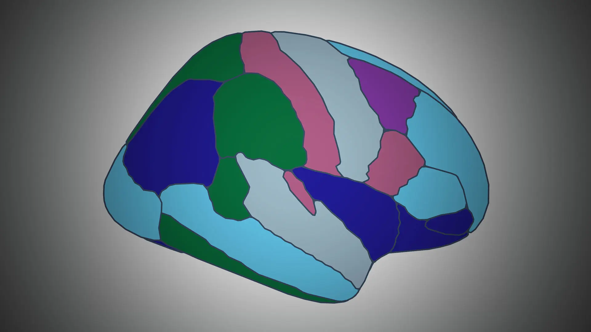 A Sweeping Characterization of Brain Function Through Studies on Living Human Brain Tissue