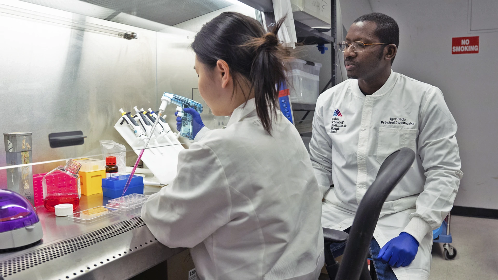 Dr. Bado (right) with lab member Duong (left) at the fume hood, working on cancer cultures. By delving into the basic mechanisms of how cancer cells enter into dormancy, findings can shed light on how these cells later reemerge as metastatic.