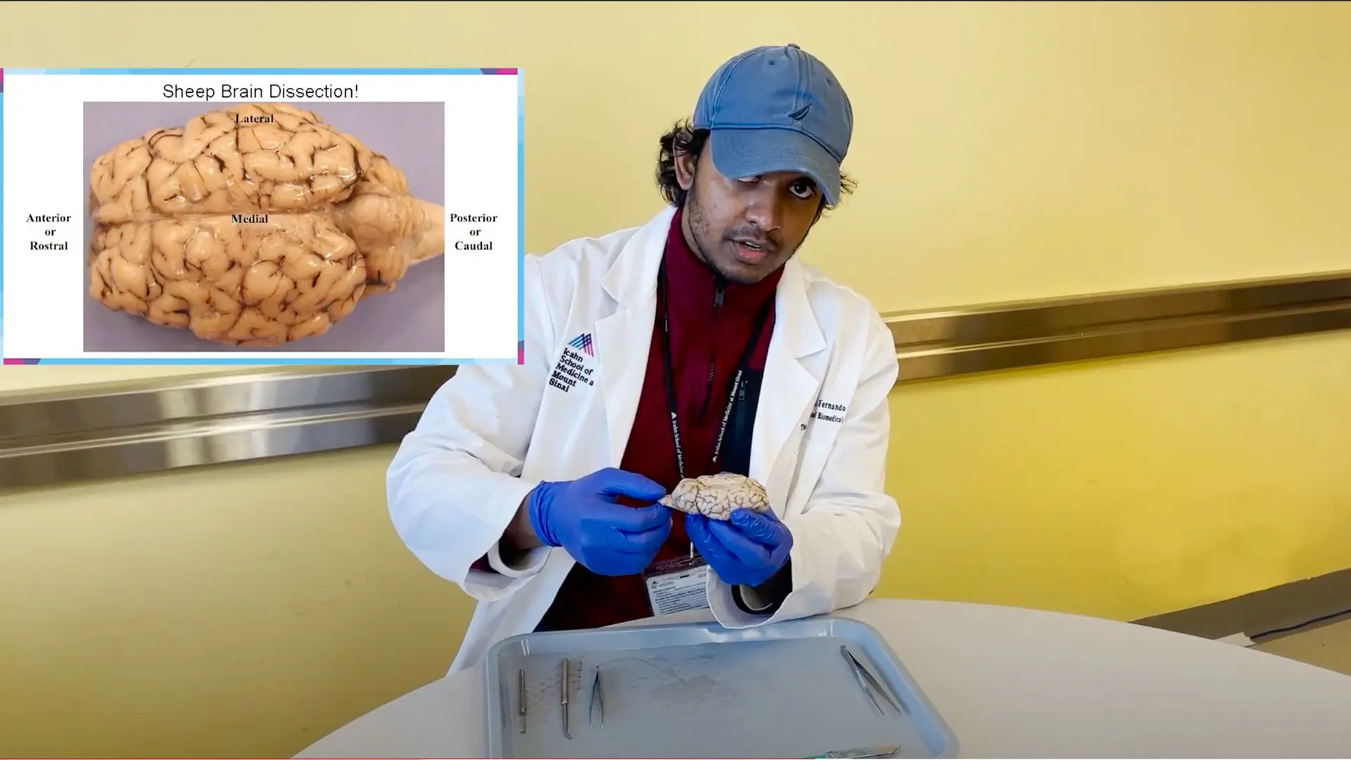 Michael B. Fernando, a MiNDS volunteer and PhD neuroscience graduate student, leads a sheep brain dissection and a comparative anatomy lesson for high school students during Brain Awareness Week. 