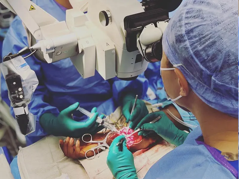 Microsurgery is an integral part of hand surgery training. Fellows participate in a wide range of cases, including revascularizations, complex nonunion reconstructions, and free tissue transfers.