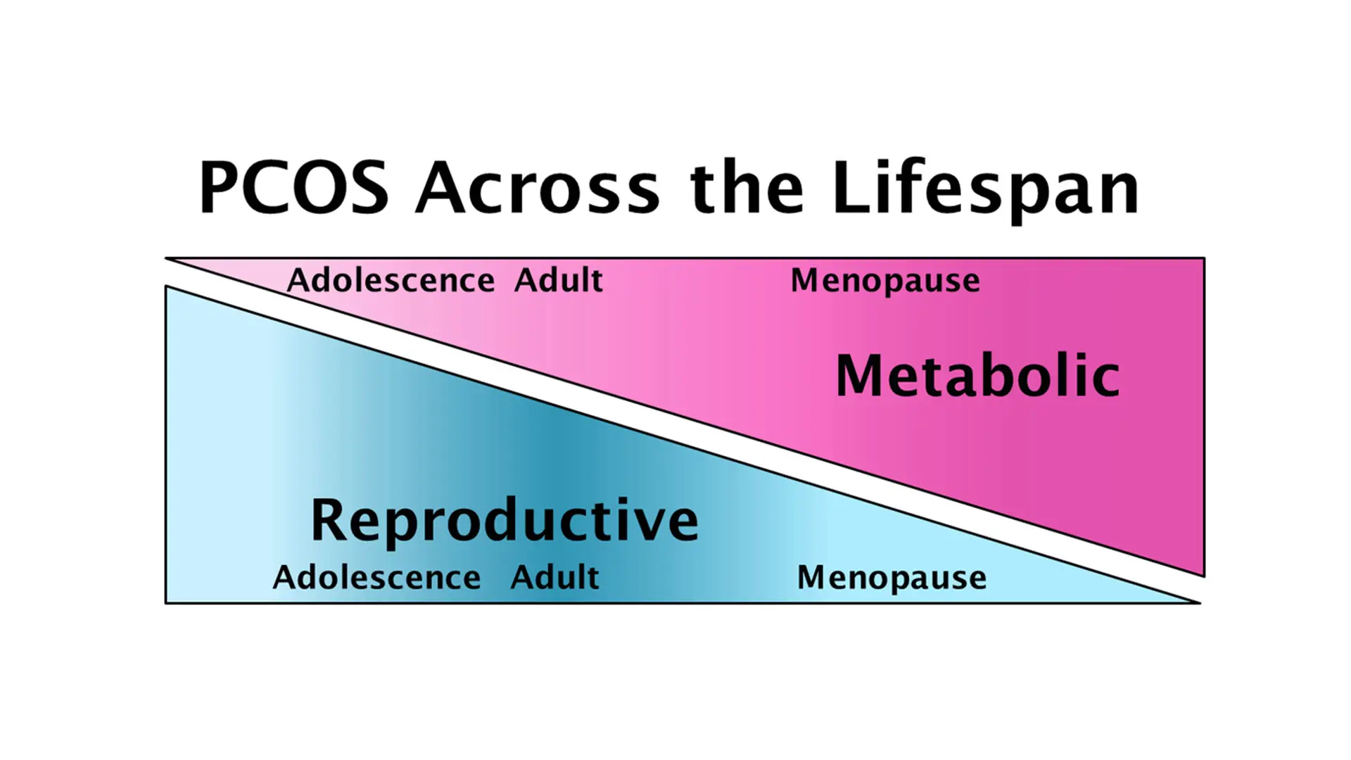 PCOS affects women across the lifespan, with reproductive features that begin in adolescence and resolve with age, and metabolic features that worsen in adulthood and persist after menopause.