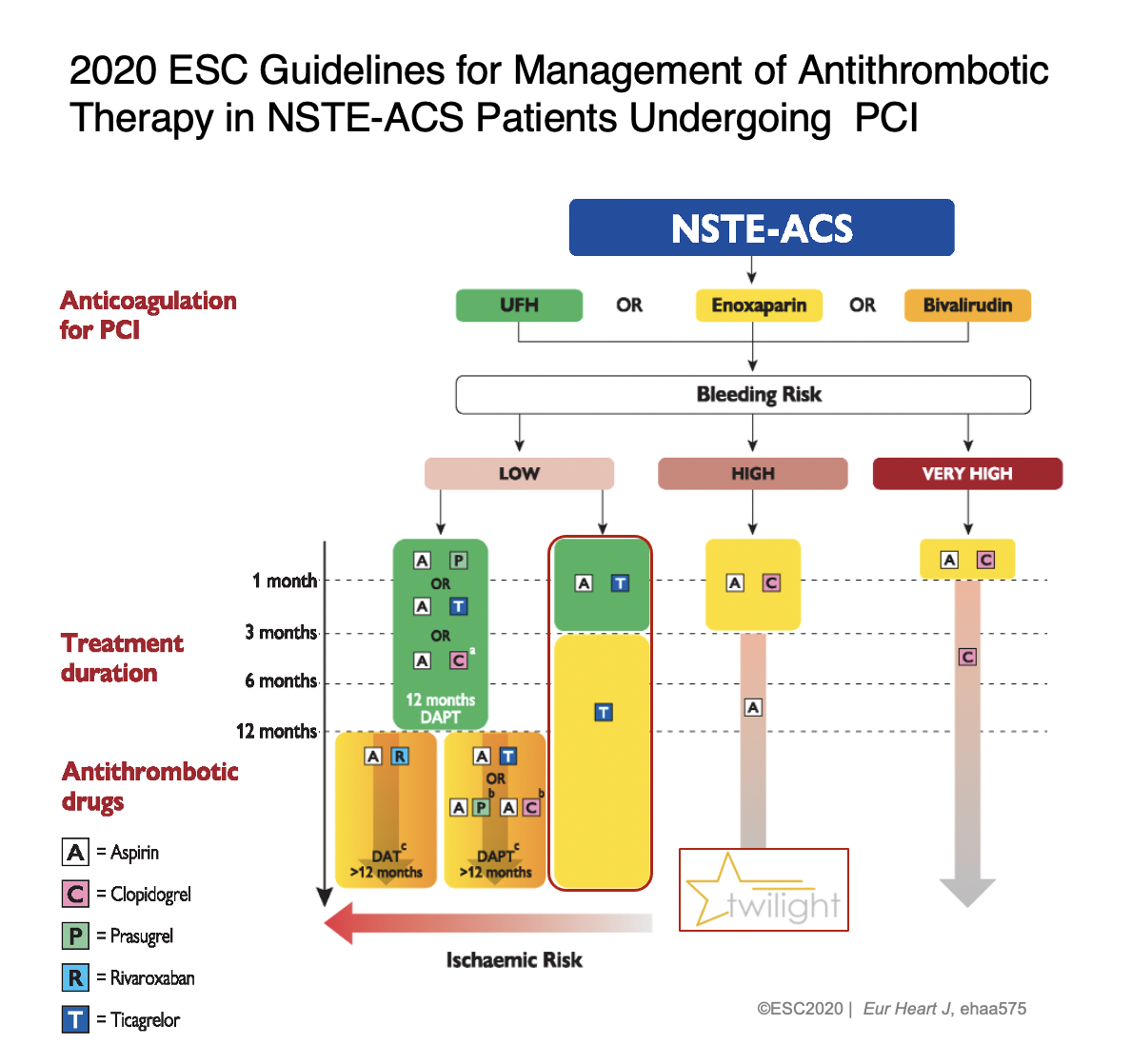 The European Society of Cardiology’s 2020 guidelines added a class 2a recommendation for
ticagrelor monotherapy in the management of selected patients with acute coronary syndromes (ACS) without persistent ST-segment elevations.  



