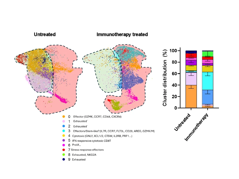 Different distribution of cell types in the microenvironment of those treated with immunotherapy and those not treated. Understanding these changes will help researchers understand why they are working and how to modify regimens to be the most effective.