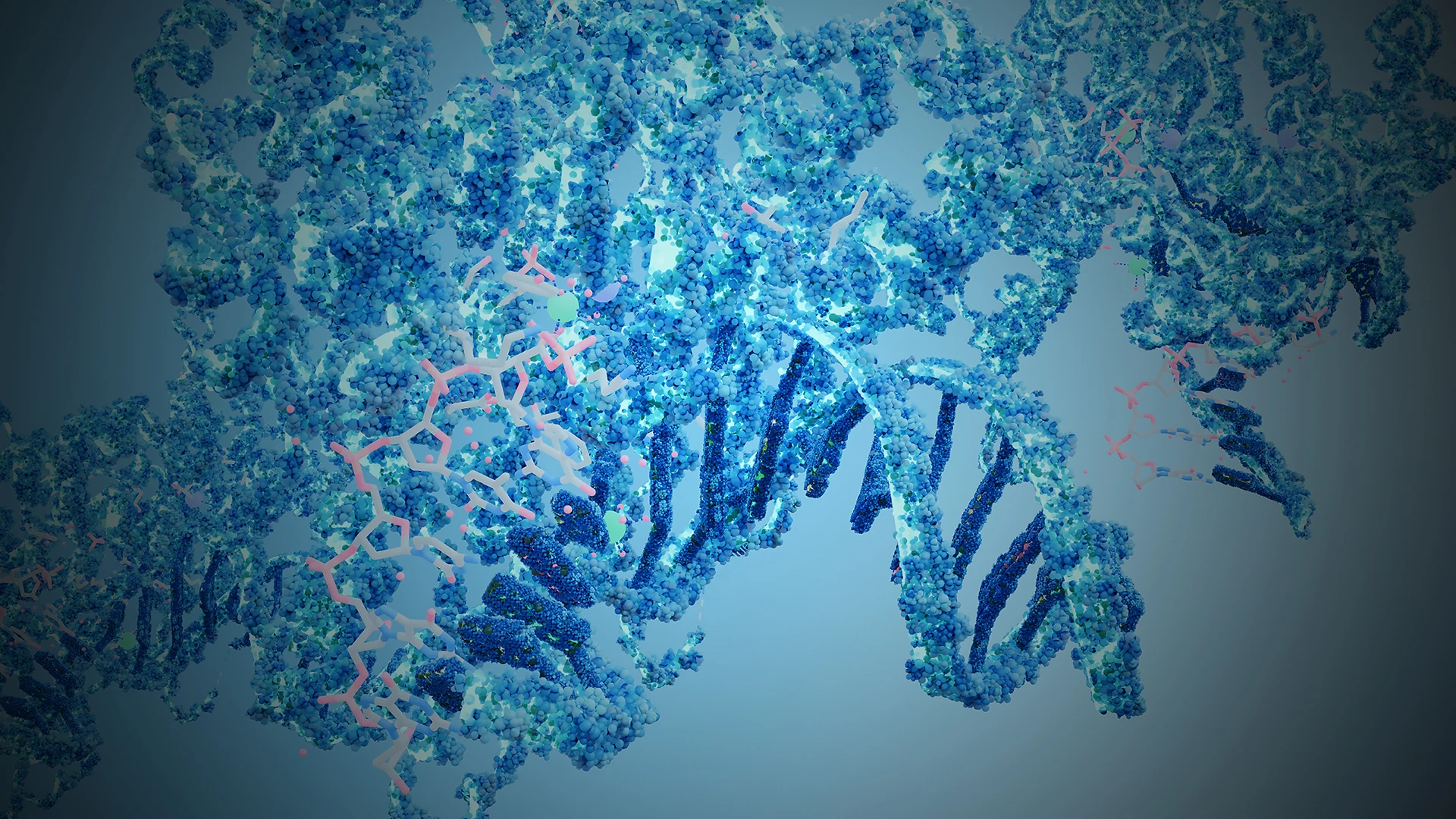 Collaborating On Uncovering the Long-Standing Mysteries of p53