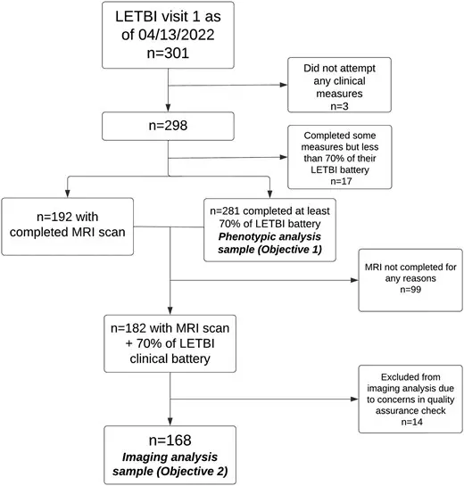 A schematic of the phenotype study, which enrolled participants from the Late Effects of Traumatic Brain Injury (LETBI) study.