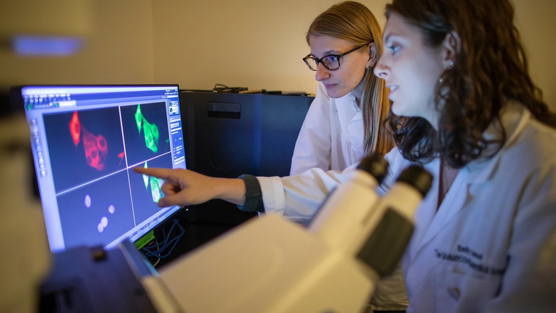 Dr. Sia and PhD student Emily Bramel view immunofluorescence staining of a novel potential therapeutic target in cholangiocarcinoma.